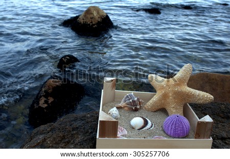 sea souvenirs on beach