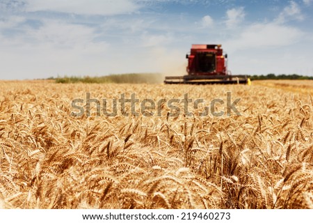 Photo of combine harvester that is harvesting wheat with dust straw in the air.