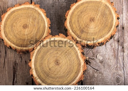 Set of tree stumps round cut with annual rings showing wood circle texture