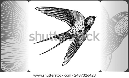 Similar – Image, Stock Photo Flying swallow bird. Ink black and white drawing