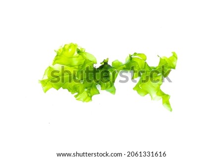 Similar – Image, Stock Photo stalks of seaweed