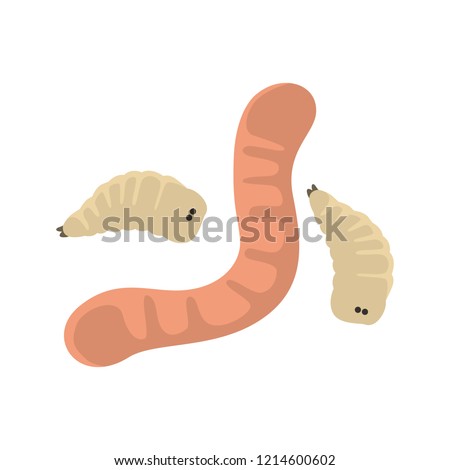 Worm and maggot fishing bait color vector icon. Flat design