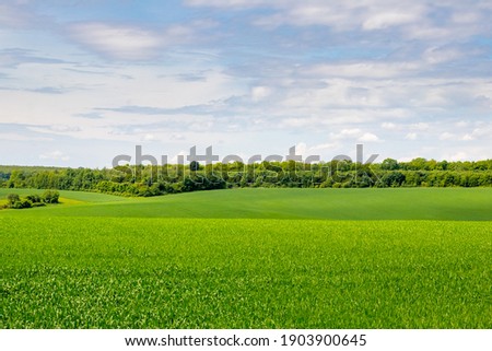 Similar – Image, Stock Photo hilly landscape in sunlight