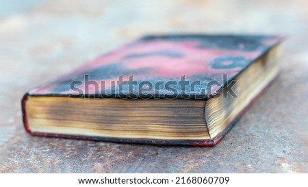 Similar – Image, Stock Photo Burn after reading