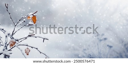 Image, Stock Photo Winter landscape with snow outskirts