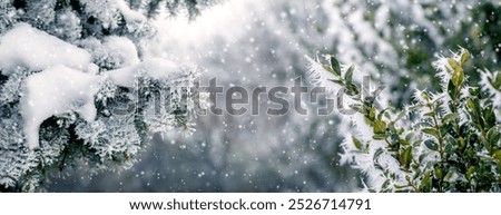 Similar – Image, Stock Photo Winter landscape with snow outskirts