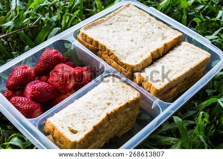 Picnic Food in plastic containers