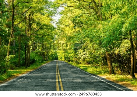 Similar – Image, Stock Photo Road running through dense forest