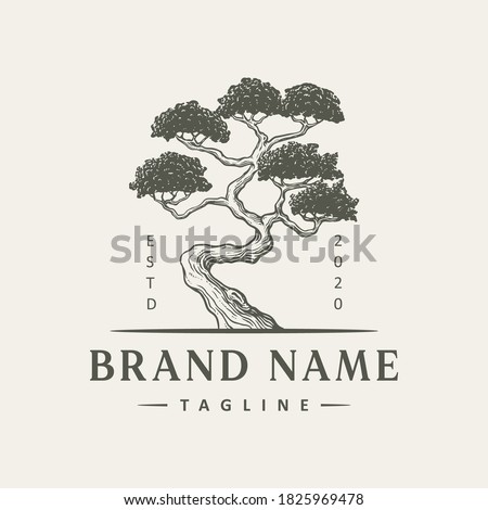 vintage tree logo design illustration