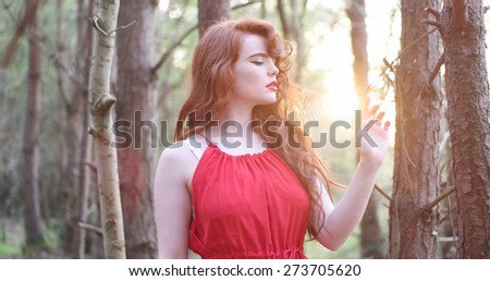 stylish Woman in red Dress Posing at the Woods , sunset
