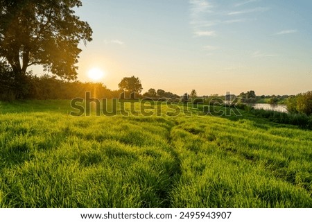 Image, Stock Photo light Idyll River bank