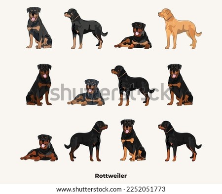 Rottweiler colors. Cute dog characters in various poses, design for print, adorable and cute cartoon vector set, in different poses. All popular colors. Dog Drawing collection set. Standing, sitting.