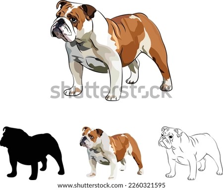 English Bulldog dog side view. Cute profile logo design, common color, breed pet character postcard art. Funny dog mascot. Fawn and white illustration. Bulldog silhouette, outlines, stroke dog logo.