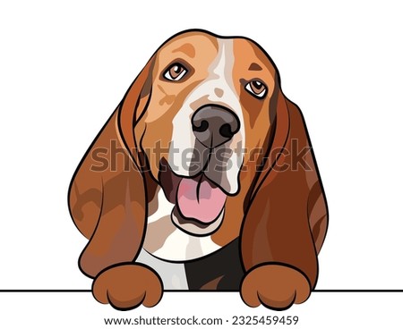 Funny basset hound dog with paws in a pocket,  vector illustration. Funny dog smiling. Cute dog head on a white background, isolated logo. Hand-drawn mascot. Funny dog muzzle over a white wall. BFF. 