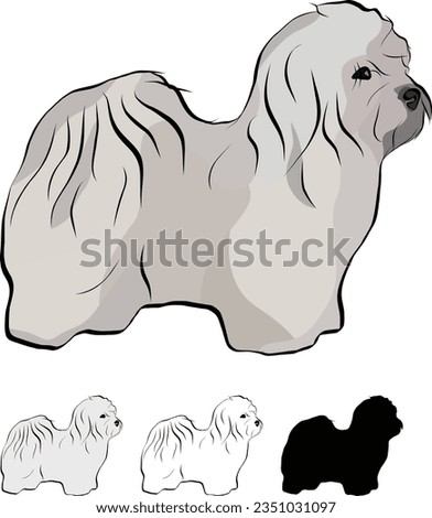 Coton de Tulear Dog Breed. Standing pose, detailed drawn dog. Cute side view pet. Logo design, dog silhouette, outlines, dog stroke. Pet character postcard art. Funny pet mascot. Black Shape of coton.