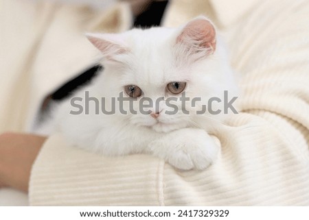 Similar – Image, Stock Photo Persian woman at home while looking through the window