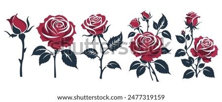 Set of decorative red rose with leaves. Vector illustration