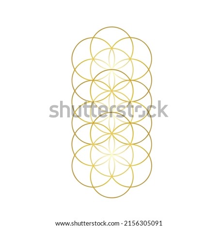 Sacred geometry, The Eternal Life Lotus, The Perpetual Life Source Code, Lotus of Life, Flower of life gold symbol isolated on white background. Foto d'archivio © 