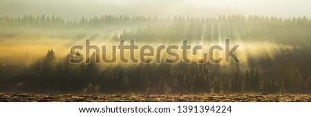 Similar – Image, Stock Photo Amazing Sunrise Light Above Misty Landscape. Scenic View Of Foggy Morning In Misty Forest Park Woods. Summer Nature Of Eastern Europe. Sunset Dramatic Sunray Light Sunbeam