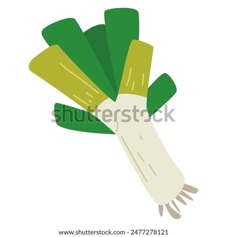 Leek vegetable vector illustration, bawang perai or bawang prei cartoon flat icon design, healthy green leafy vegetables