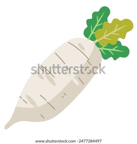 White daikon radish vegetable, flat design vector illustration, fresh white radishes cartoon icon, daikon radishes clipart image, sayuran lobak putih clip art, healthy vegetables