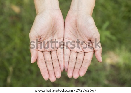empty human hands with palms up