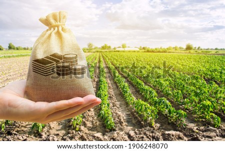 Money bag in the hand of the farmer on the background of agricultural crops. Profit from agribusiness concept. Agricultural startups. Lending and subsidizing farmers
