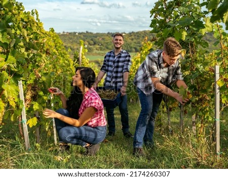 Similar – Image, Stock Photo Crop person with grapes in studio