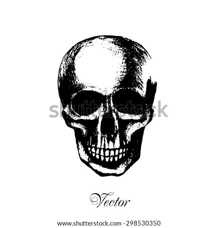 Black Skull On White Background Stock Vector Illustration 298530350