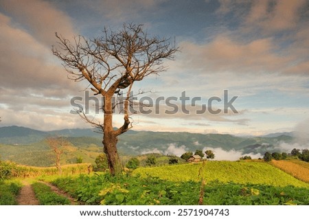 Similar – Image, Stock Photo Dark mountain range under cloudy sky in twilight