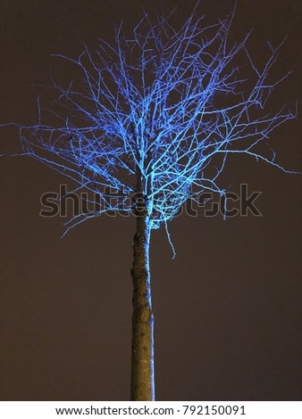 Similar – Image, Stock Photo lit tree at night in autumn