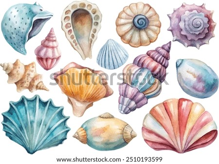 Collection of watercolor sea shells