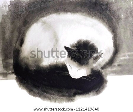cute fluffy white cat with black tail and head, sleeping, curled up, on black and white background, watercolor painting