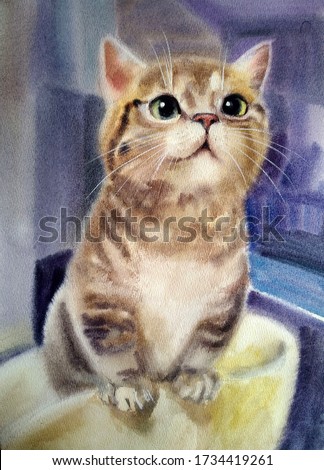 cute beautiful fluffy charming little Munchkin kitten with green eyes on a colored background, watercolor painting