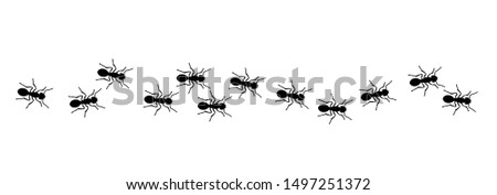 Ant insect, emmet insects Pismire banner Funny vector ants workers icons  A line of worker Arthrpod marching Search Silhouette seamless pattern Representing Teamwork Pest snthill sign Red or black