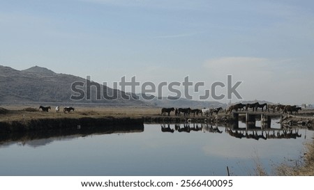 Similar – Foto Bild Kleine Brücke mit Spiegelung an einem Kanal in Venedig