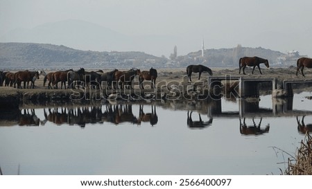 Similar – Foto Bild Kleine Brücke mit Spiegelung an einem Kanal in Venedig