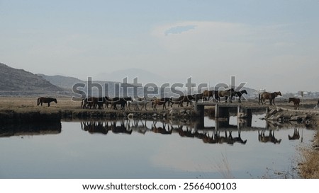 Similar – Foto Bild Kleine Brücke mit Spiegelung an einem Kanal in Venedig