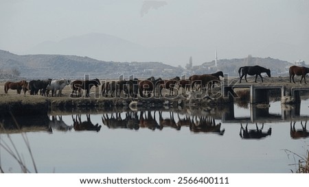 Similar – Foto Bild Kleine Brücke mit Spiegelung an einem Kanal in Venedig