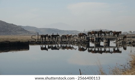 Similar – Foto Bild Kleine Brücke mit Spiegelung an einem Kanal in Venedig