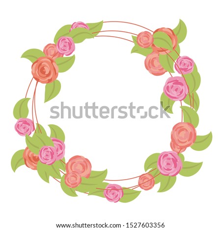 wreath of rounded pink and red roses with green leaves isolated on white background