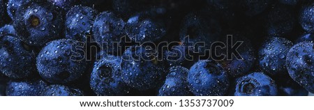 Similar – Image, Stock Photo Blackberries close-up image. Ripe blackberry fruits