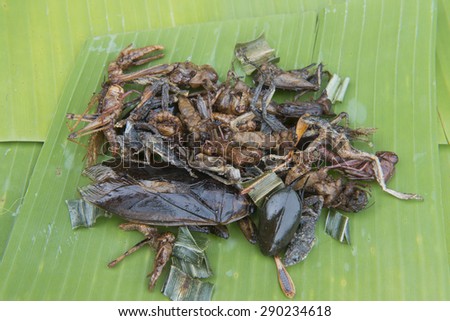 Fried edible insects mix on leaf  with green lime leaves. Fried insects are regional delicacies food in Thailand. Crispy fried insects amazing menu.