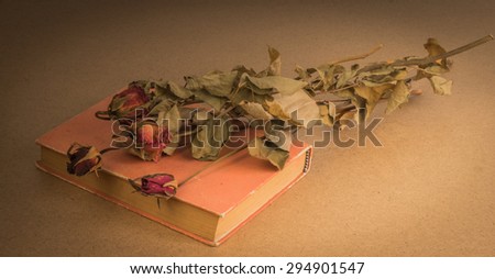 Vintage still life with old roses on old book wait for somebody.select focus. dark tone