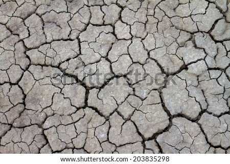 Mud cracked background (Dry cracked )