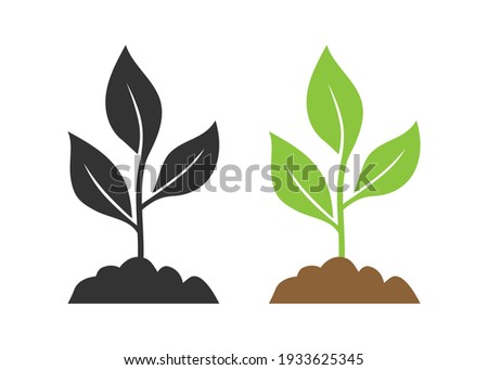 Seedling icon vector illustration isolated on white background. ストックフォト © 
