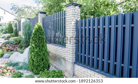 Texture of profiled metal. Metal fence. urban landscaping, beautiful thuja occidentalis on the background of a modern fence made of metal profile.