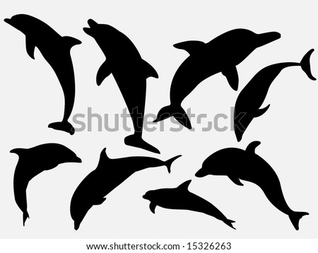 Dolphin Silhouette