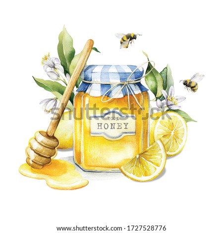 Watercolor illustration of sweet honey. Picture for your design with honey, branches of ripe lemons and bees.