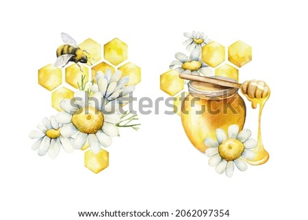 Watercolor compositions with honeycombs and daisies. Hand painted, illustration with honey isolated on white background for your design.